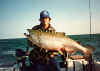 NY Lake Ontario fishing yields 42 lb. Lake Ontario king salmon Aug 29th